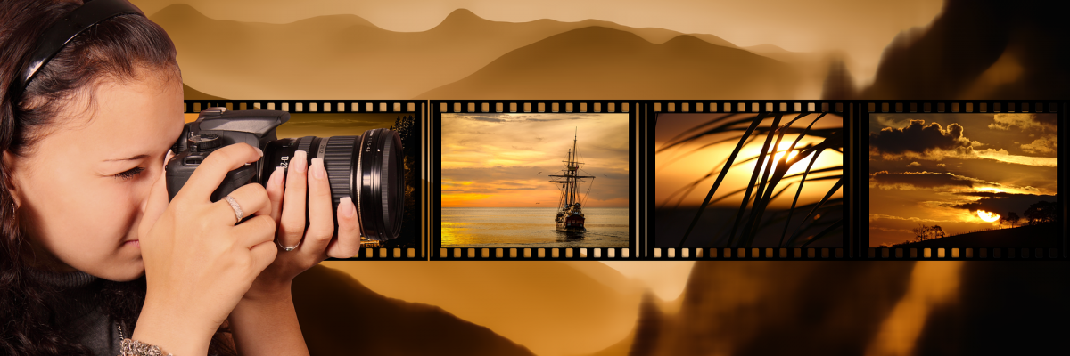 Darlene Prois Photography